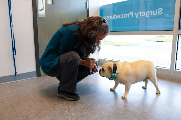 Haw River Animal Hospital 7