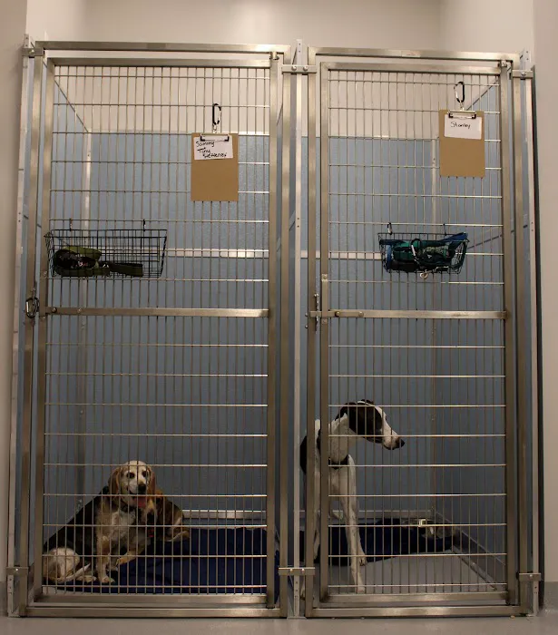 Haw River Animal Hospital 10
