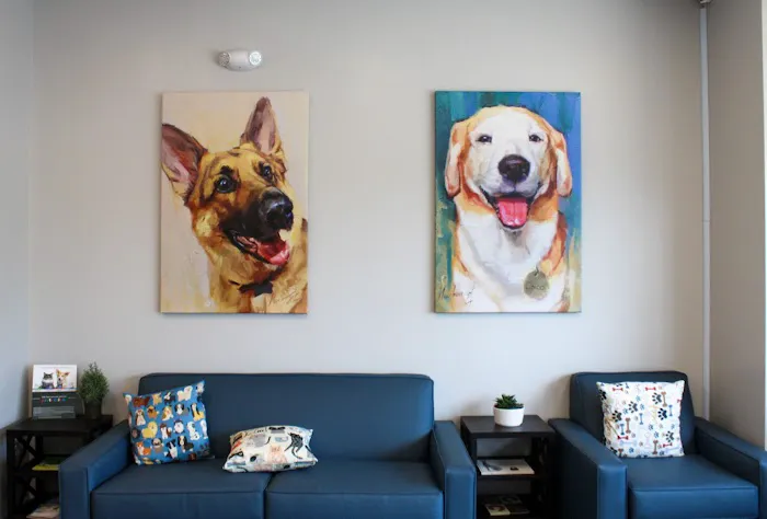 Haw River Animal Hospital 5