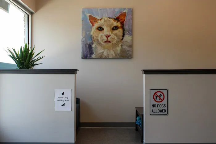 Haw River Animal Hospital 8