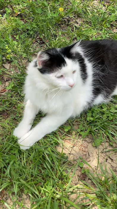 Pittsboro Animal Hospital 5