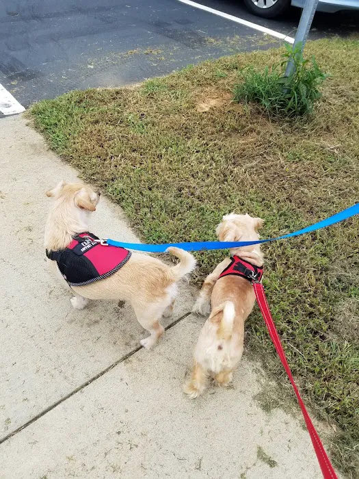 Pittsboro Animal Hospital 9