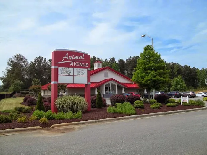 All Animals Veterinary Hospital 10