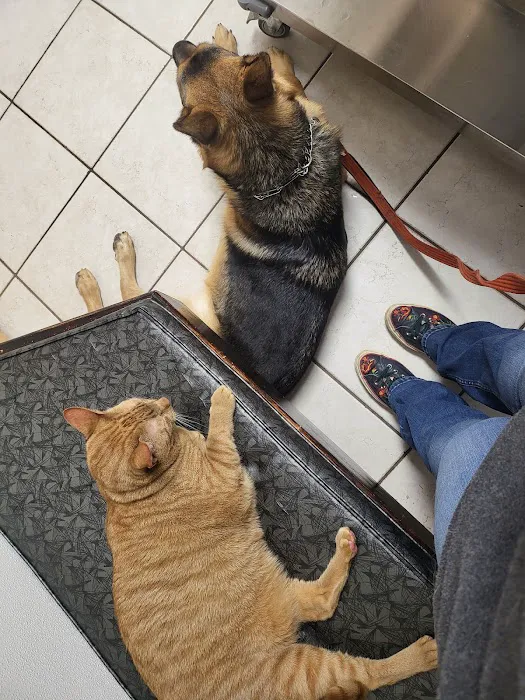 All Animals Veterinary Hospital 1