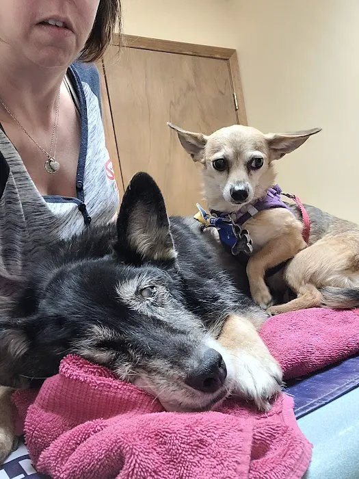 Companion Animal Hospital- Vet Clinic Montgomery City MO 4