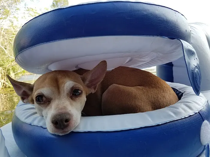 Ben Lomond Animal Clinic 12