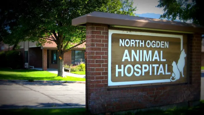 North Ogden Animal Hospital 12
