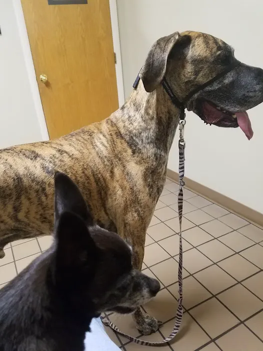 North Ogden Animal Hospital 12