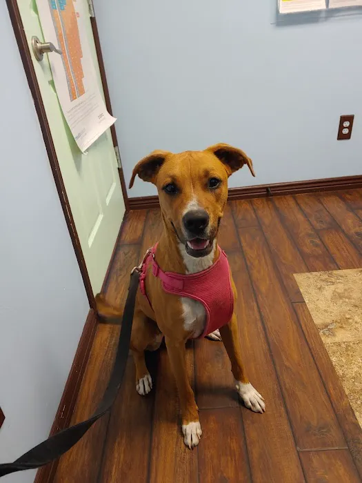 Millcreek Animal Hospital 12
