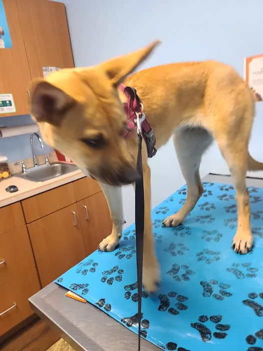 Millcreek Animal Hospital 12