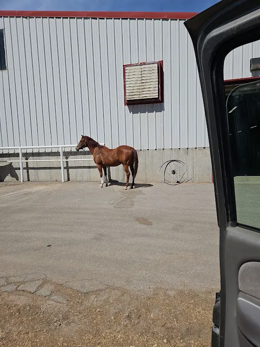 South Valley Equine - Heritage Location 12