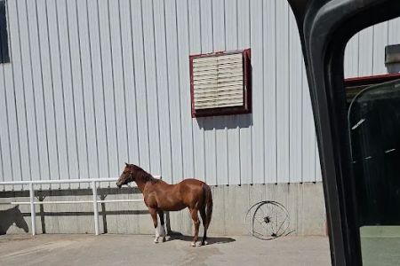 South Valley Equine - Heritage Location