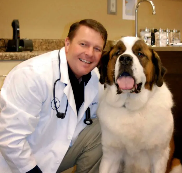 Farr West Animal Hospital 12