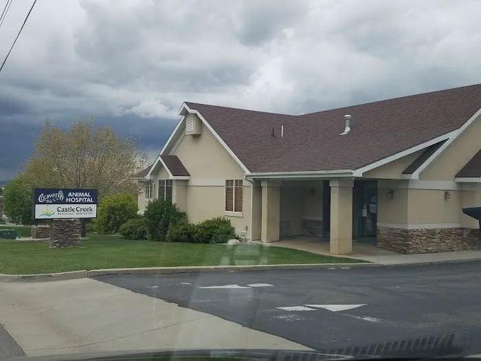 Coldwater Animal Hospital 6