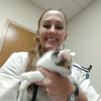 Dr. Kaylene D. Meyerhoffer DVM - at Coldwater Animal Hospital and Layton Veterinary Hospital ico