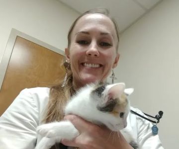 Dr. Kaylene D. Meyerhoffer DVM - at Coldwater Animal Hospital and Layton Veterinary Hospital