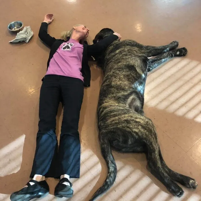 Paws & Claws Veterinary Clinic 9