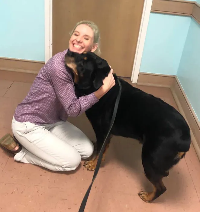 Paws & Claws Veterinary Clinic 1