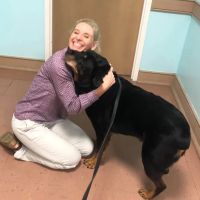 Paws & Claws Veterinary Clinic ico