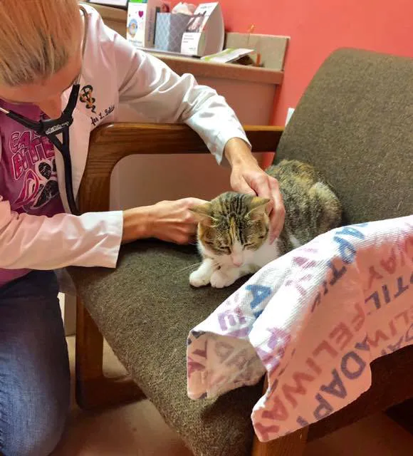Paws & Claws Veterinary Clinic 3