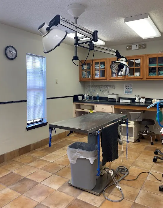 Camden Veterinary Clinic 3