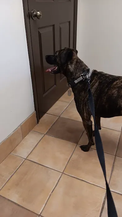 Camden Veterinary Clinic 1