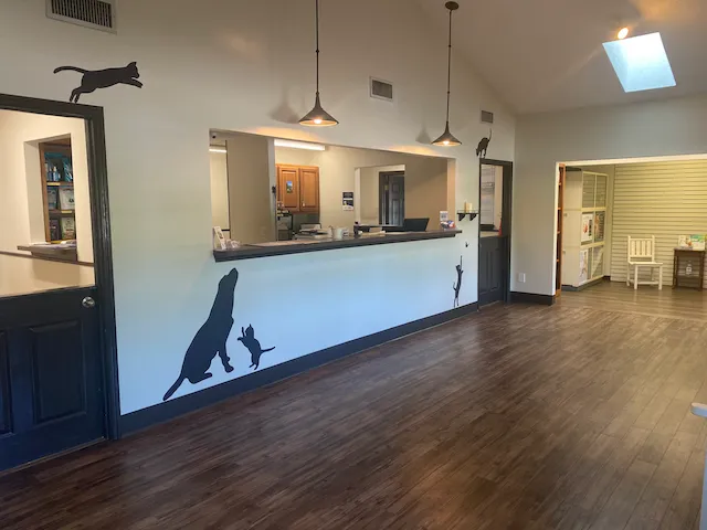 Camden Veterinary Clinic 9