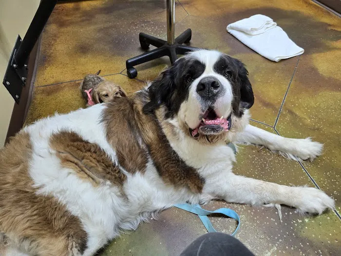 Laurel Oaks Animal Hospital 5