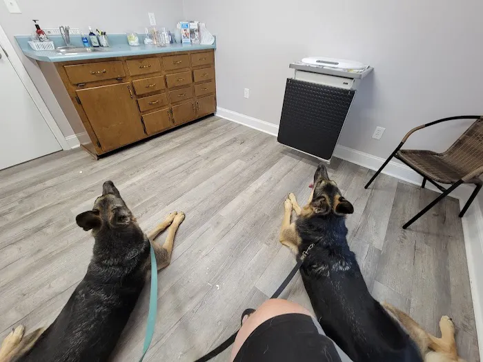 Betz Veterinary Services 3