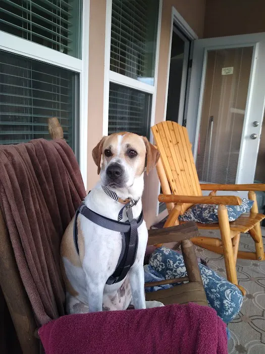 Betz Veterinary Services 9
