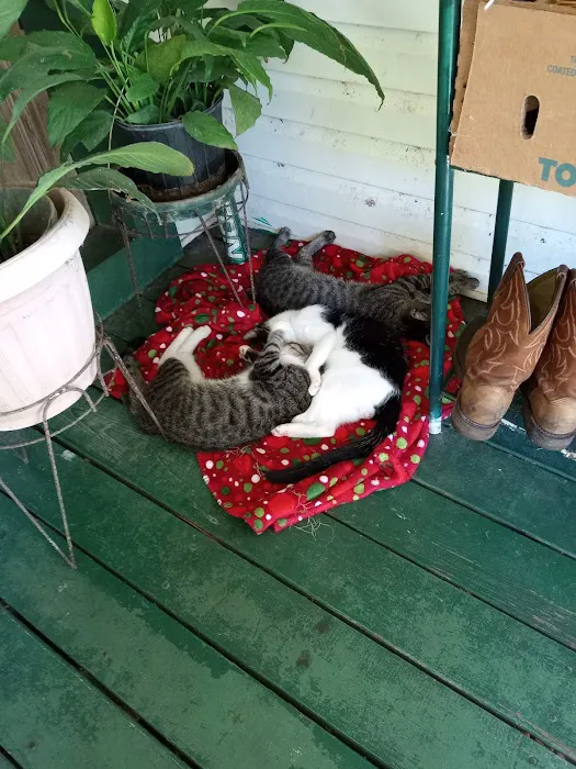 Baldwin Animal Clinic 2