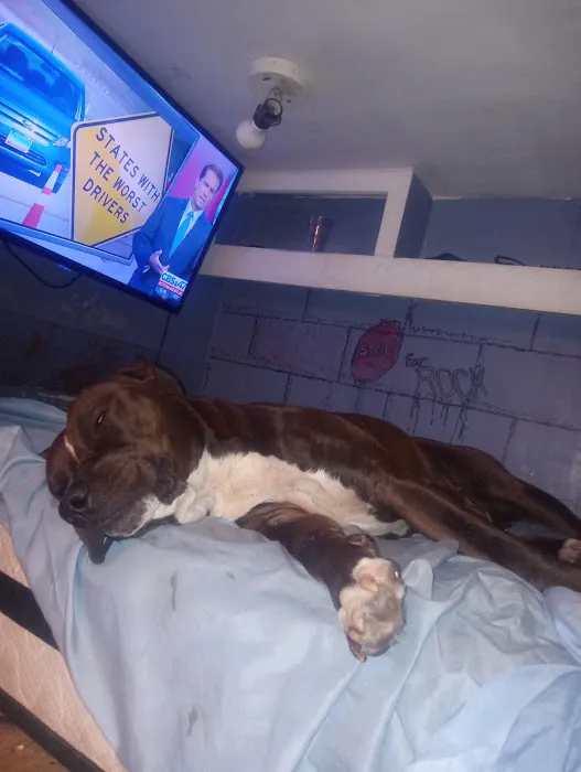 Baldwin Animal Clinic 3