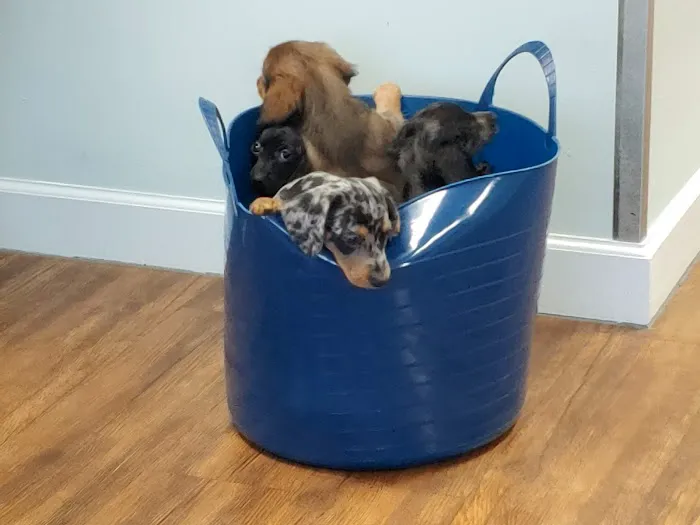 Baldwin Animal Clinic 8