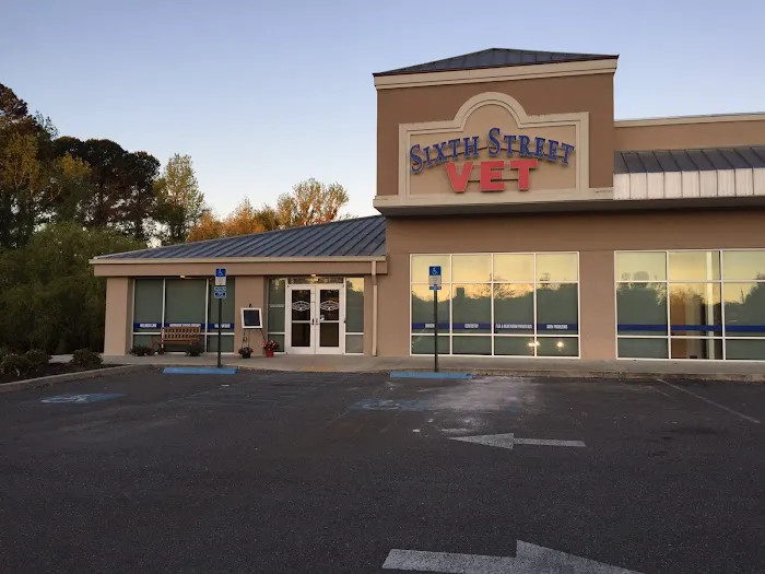Sixth Street Veterinary Hospital 6