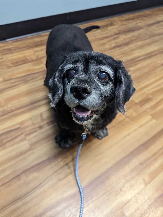 Sixth Street Veterinary Hospital 1