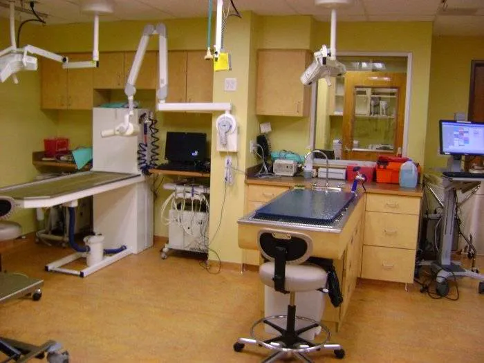 VCA Fort Collins Animal Hospital 4