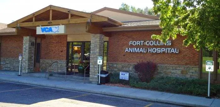 VCA Fort Collins Animal Hospital 5