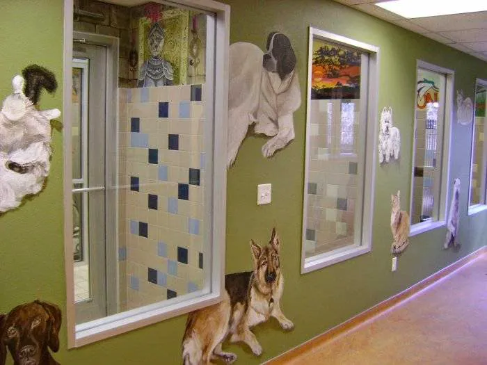 VCA Fort Collins Animal Hospital 10