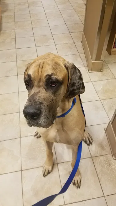 VCA Fort Collins Animal Hospital 9