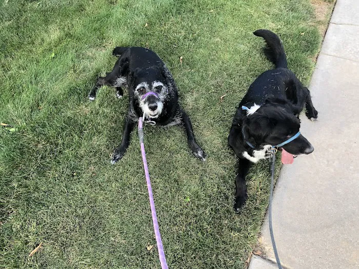 Fossil Ridge Animal Hospital 4