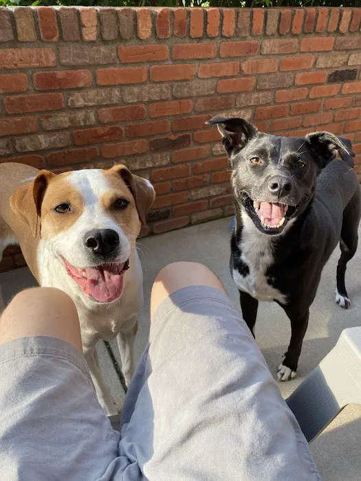 Fossil Ridge Animal Hospital 9