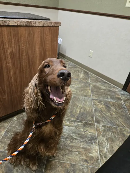 Pet Wellness Clinic LLC 5