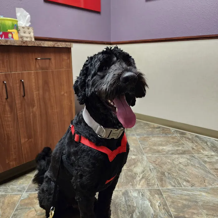 Pet Wellness Clinic LLC 2