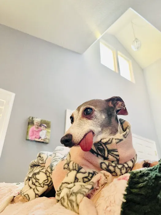 Pet Wellness Clinic LLC 8