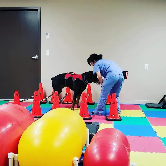 Pet Wellness Clinic LLC 4