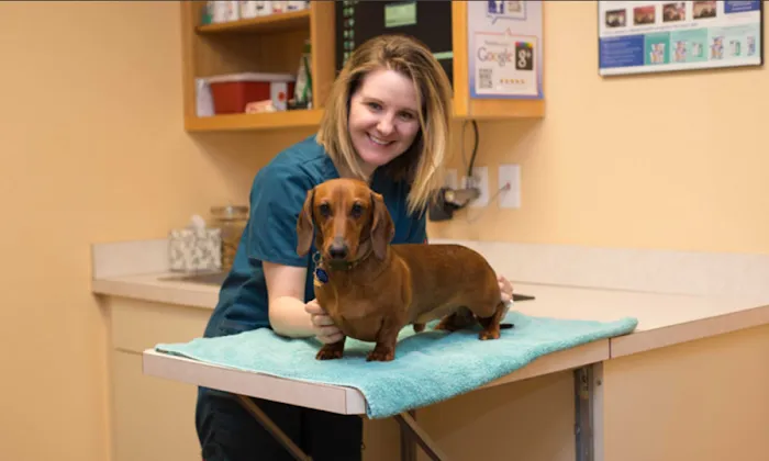 Friendship Hospital for Animals 9
