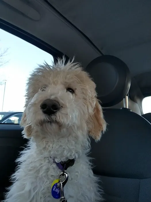Timberline Animal Hospital 7
