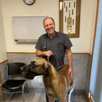 Harmony Road Veterinary Clinic ico
