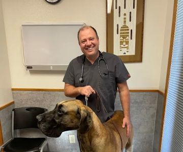 Harmony Road Veterinary Clinic