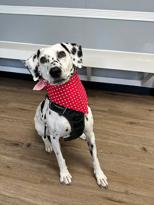 Harmony Road Veterinary Clinic 3